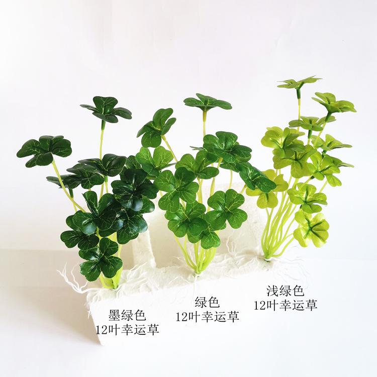 幸运草合影.jpg