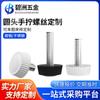Tornillos de Mano de Plástico Personalizados Galvanizados Cabeza Redonda Cabeza de Goma Tornillos de Mano Acero Inoxidable Plástico Tornillos Rectos Pernos
