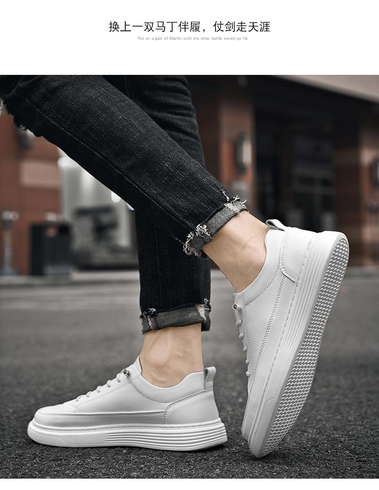 01-02-2_05.jpg?x-oss-process=image/format,png