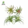 Simulación planta suculenta súper grande tamaño pequeño suculenta bonsái planta verde flor de plástico en maceta micro paisaje con pared vegetal