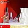 Fábrica em estoque Frasco Quadrado 13ML Esmalte de Unha Frasco de Vidro Tampa de Esmalte de Unha com 15 Dentes Frasco de Vidro com Pincel de Óleo Frasco Quadrado