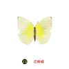 Especímenes Tridimensionales de Mariposas e Insectos Reales para la Educación Científica Infantil en Jardines de Infancia, con Alas Extendidas, Diseño de Estilo Fotográfico 1