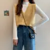 Chaleco para Mujer Otoño e Invierno 2025 Nuevo Estilo Coreano Top sin Mangas Cárdigan Holgado Moda Versátil Cuello en V Tejido