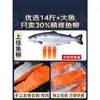 Trozos de Salmón Noruego Recién Importado, Filete de Salmón Entero, Salmón del Atlántico Fresco Sin Espinas, Alimento Complementario para Peces