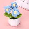 Planta de Lã Acabada Transfronteiriça em Vaso Pequeno Girassol Tricotado à Mão Flor Artificial Estilo Ins Flor Imortal