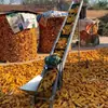 Máquina de palitos de espiga de milho pequena esteira transportadora doméstica máquina de carregar e alimentar frutas máquina de elevação de grãos de trigo