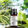 Manjericão único óleo essencial cross-border comércio exterior óleo vegetal massagem equilíbrio óleo modificado acne músculo 10ml amostra