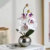 Bonsai de Orquídea Phalaenopsis Pequena com Quatro Flores e Duas Frutas Artificiais para Sala de Estar Decoração de Interiores para Casa da Moda Atacado