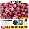 Maceta para plantar verduras en balcón, caja de plantación de verduras de autorriego, para personas perezosas, rectangular, para plantar cebolla, maceta de plástico para flores, interior, anillo de resina, envoltorio