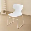 Silla de Comedor para el Hogar, Sala de Estar, Restaurante, Lujo Ligero, Celebridad de Internet, Silla con Respaldo, Silla de Ocio, Tienda de Té con Leche, Silla de Espera para Cafetería