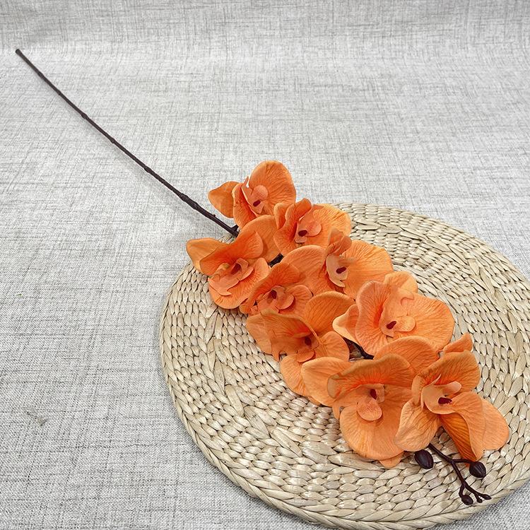 9头绢布蝴蝶兰-edxhx-桔色.JPG