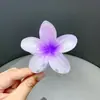 Venda Quente Transfronteiriça Prendedor de Flor de Ovo Grampo de Cabelo Flor de Bauhinia Grampo Lateral Disco de Cabeça Traseira Grampo de Tubarão Grampo de Cabelo Flor Colorida