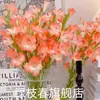 Bulbos de Gladiolo, semillas, flores cortadas de Gladiolo, plantas de jardín para interior y exterior, Acanthopanax, plantas resistentes para todas las estaciones, flores perennes