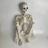 Explosiones Transfronterizas cos Adornos de Esqueleto Escena de la Cámara Secreta de la Momia Decoración de Casa Embrujada Accesorios de Terror Esqueleto