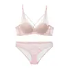 Conjunto popular de lingerie de renda francesa para mulheres, com aro, design push-up, costas sexys com cruzamento e conjunto combinando de sutiã e calcinha