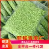 Grãos de Trigo Verde Frescos Grãos de Trigo Verde Descascados Estilo Fazenda Caixa Inteira Atacado de Cinco Grãos e Cereais Diversos Atacado de Matérias-Primas para Cozinhar Mingau