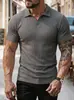 2026 Verão Novo Modelo Amazon Camisa Polo com Gola Reversível e Listras, Camisa Polo Esportiva Masculina, Atacado do Fabricante