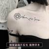 Tatuaje de hierbas con alfabeto inglés, pequeño, fresco, estilo Ins, para clavícula, impermeable, para mujer, duradero, sexy, semipermanente.