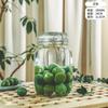 Vino de Ciruela Verde y Mirto de Cera Lata Ins de Vidrio Lata de Vino Tarro de Vino Tarro de Vino Elaboración de Vino Lata Sellada Botella con Hebilla con Asa de Grifo