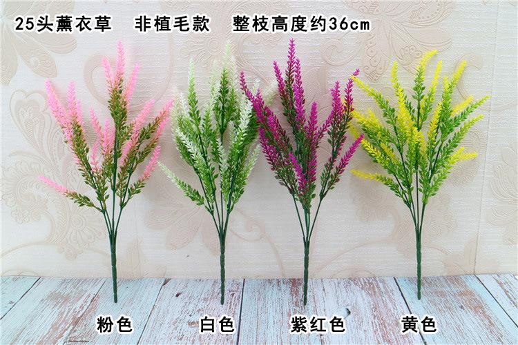 25头薰衣草 色卡 黑体.jpg