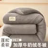 Manta gruesa de vellón de leche de doble cara, manta de franela para primavera/otoño, manta de vellón de cordero para invierno, núcleo de manta para dormitorio, comercio electrónico transfronterizo