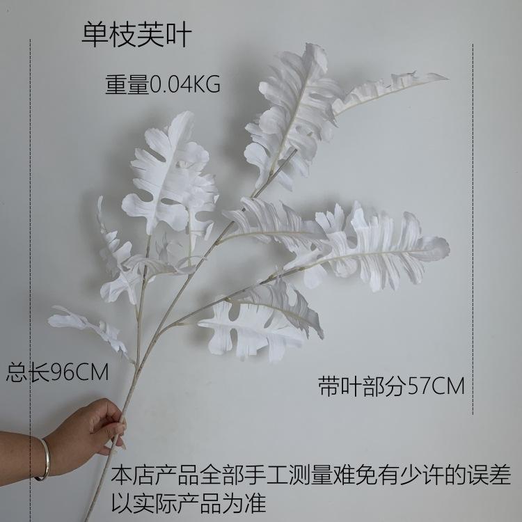 尺寸图