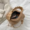Mini Bolso Pequeño Esponjoso Estilo Coreano para Mujer Otoño e Invierno Nueva Moda Estilo Coreano Estilo Occidental Bolso de Mano de Felpa Cadena Hombro Cruzado