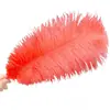 30-35cm Plumas de Avestruz Lámpara de Plumas Arreglo Floral de Plumas de Avestruz Plumas de Boda