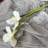 Boda Estilo Coreano con Plantas Verdes Frescas, Decoración de Ramo de Flores Atado a Mano de Graduación, Arreglo Floral, Decoración de Flores Artificiales Estilo Jardín Monet Estilo Bosque