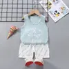 Ropa Infantil 2024 Verano Nuevo Traje Chaleco Infantil Algodón Puro Comercio Exterior Bebé Sin Mangas Shorts Estilo Coreano Ropa para Niños