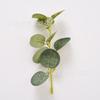 Simulación eucalipto hoja de dólar ratán accesorios de corona boda decoración del hogar hojas de flores de seda planta fabricantes mayoreo