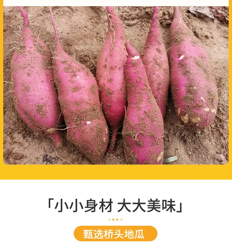 详情790_03.jpg
