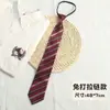 Jkdk Calcetín Pequeño Tipo Enchufe de Corbata Gratis Poliéster Seda Material Escolar Estilo Preppy Estudiante Camisas y Tops para Hombre y Mujer con Decoración Atractiva