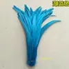 35-40 Penas de Cauda de Galo Penas de Cauda de Galo Cosplay Penas de Galinha Penas Coloridas Acessórios DIY