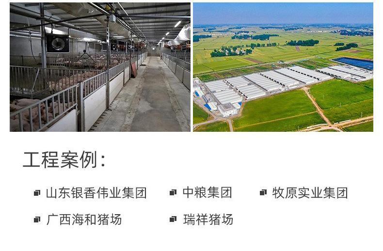 PVC塑料瓦_14.jpg