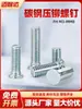 Tornillos remachables FH-M2M2.5M4M5M6M8M10 acero al carbono galvanizado cabeza plana tornillos para chapa cabeza redonda