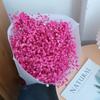 Gipsofila Preservada Atacado Buquês Casamento em Casa Arranjo Floral Decoração Enfeites Adereços para Fotografia Fazer Presente DIY