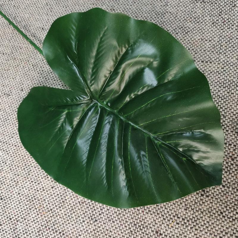 单只连体滴水观音深绿