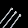 Abraçadeiras Plásticas Fornecidas de Fábrica, Abraçadeiras Plásticas Padrão 2.5*150mm Tipo Fivela para Chicotes de Cabos de Alimentação, Abraçadeiras de Nylon Autotravantes