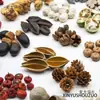 Pinha de jardim de infância flor seca materiais diy sementes de frutas secas plantas de decoração bolotas espécimes taibao frutas trigo feito à mão