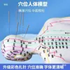 Modelo de Corpo Humano com Pontos de Acupuntura para Praticar Inserção de Agulha, Diagrama Completo do Corpo com os Doze Meridianos da Medicina Chinesa, Modelo de Cobre em Forma Humana