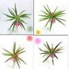 Ventas Directas de Fábrica Paredes de Plantas Simuladas Accesorios de Decoración de Paredes de Plantas Verdes Hierba Orquídea Araña Individual Hojas de Orquídea Araña con Borde Dorado