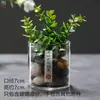 Desktop Vidro Micro-Paisagem Coletor de Orvalho Garrafa Borrifadora para Plantas Transparente Coleta de Luz Musgo Garrafa Aquário Outros Alimentos