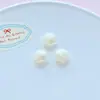 Accesorios de Joyería DIY de Pez Acrílico Parche de Flor para Zuecos Flor para Funda de Teléfono Móvil Pasador Accesorios para el Cabello Material