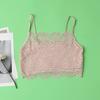 Verão Fino Seda Anti-desfiado Cobertura Leve Tubinho Envoltório de Seios Envoltório de Seios Seda de Amora Renda Roupa Íntima Sutiã para Meninas