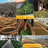 Muestras Directamente del Fabricante para Degustación de Prueba, Paquete de Prueba de Muestra de Té Suelto de 16 g, Té Negro de Yunnan, Té Pu'Er, Té Blanco, Té Maduro
