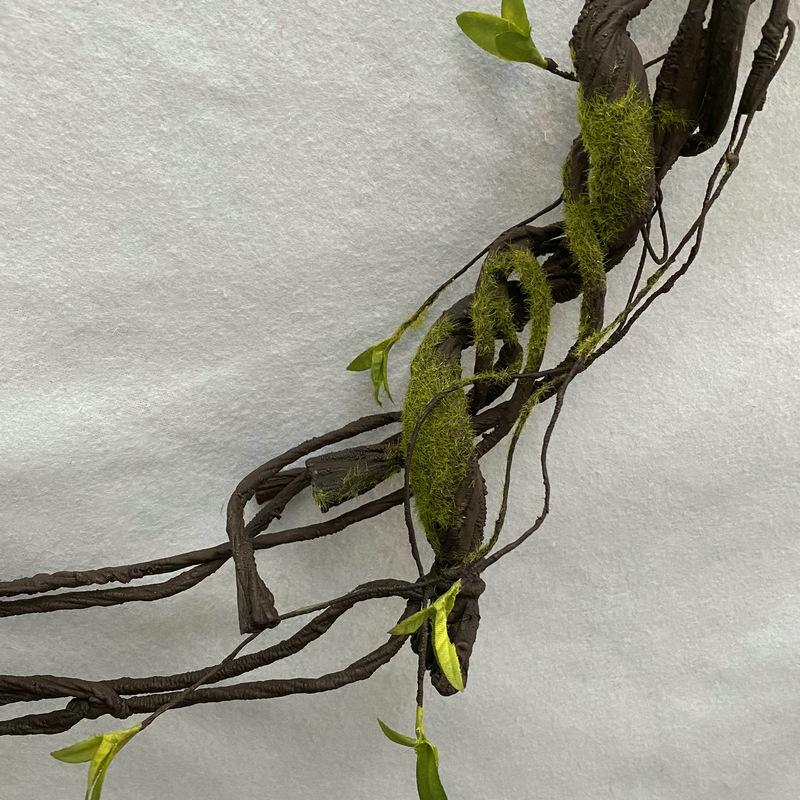 青苔藤尾部展示.JPG