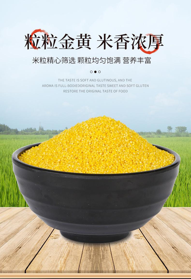 黄米_04.jpg
