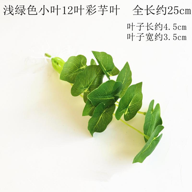 浅绿色小叶12叶彩芋叶.jpg