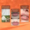 Bálsamo Labial Rubriel Miel Transfronterizo 5g Bálsamo Labial de Miel